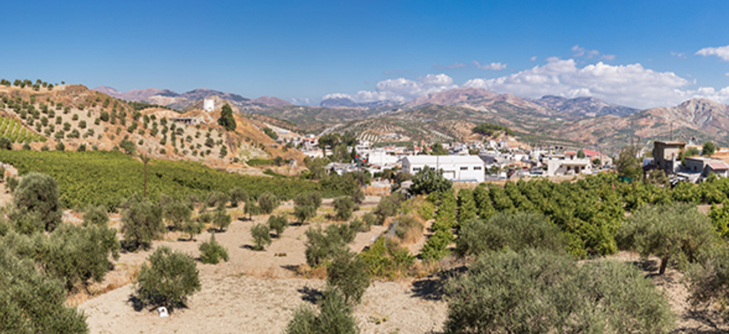 Hotels in Atsipopoulo